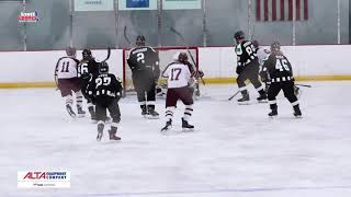 Westfield vs Brebeuf Jesuit  Hockey  12520  STATE CHAMPS Indiana [upl. by Towroy161]