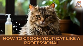 How to Groom Your Cat Like a Professional 🐱 Expert Tips amp Tricks  GroomingYourCat pets catlover [upl. by Iaht]