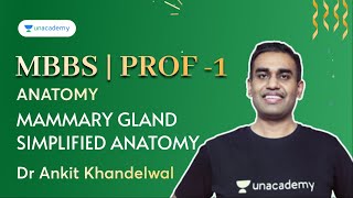 MBBS  Prof 1  mammary gland simplified anatomy  Anatomy  Dr Ankit Khandelwal [upl. by Halullat]