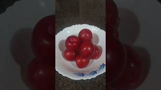 ఆల్ బక్రా పండుAlbakara fruit 🍑 plumforyoualbakarahealthtips ytshorts [upl. by Charleton]