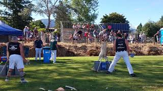 Fastest To Cut Wins  Wood Chopping Competition NZ woodchopping nz [upl. by Llerrem]