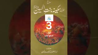 Hazrat Sakina bintul Hussain as  Syed Agha Mehdi Lakhnawi  Part 3 [upl. by Irma]