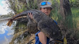 SAND FLAT FISHING FOR HUGE FLATHEAD [upl. by Axia]