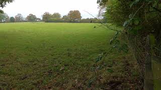 Fields of the Battle of Bosworth Field Leicestershire [upl. by Nebeur890]