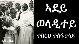 Teberh Tesfahuney  Adey Weladitey Eritrean Music [upl. by Sivrat]