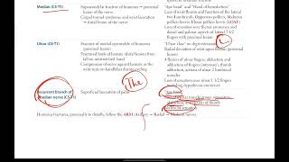 Upper extremity nerves made easy 2 Median Ulnar recurrent branch of median  Musculoskeletal  3 [upl. by Iz]