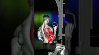 Cable one arm lat pulldown Tutorial Strengthen Your Back Muscles [upl. by Elliot]