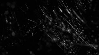 3D Spider Web 03 [upl. by Quintie]