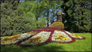 Mainau island Germany the island of flowers is in top 10 places to visit [upl. by Nawat]