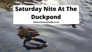 Saturday Nite At The Duckpond  The Cougars Cover by Steve Reynolds [upl. by Atinna138]