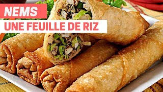 Utiliser une FUEILLE DE RIZ  NEMS [upl. by Benedicta]