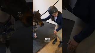 Judge Jeanine meets Cupcake the miniature horse [upl. by Annaiek]