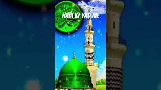 islamic video Dilme Nabi ki yadme [upl. by Seidel]