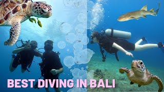 Best Diving in Bali  Nusa Dua Dive Centre  Blue Lagoon [upl. by Stig]