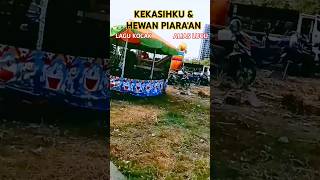 KEKASIHKU amp HEWAN PIARAAN  LAGU KOCAK ALIAS LUCU shorts shortvideo lagukocak lucu [upl. by Hampton220]