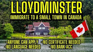 immigrate to Canada without job offer  Immigrate to Lloydminster town  immigration canada [upl. by Samuele]