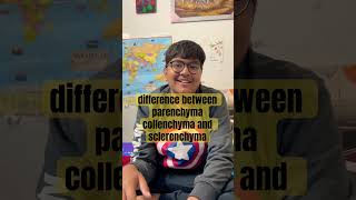 difference between parenchyma collenchyma and sclerenchymashortvideo [upl. by Lyrred]