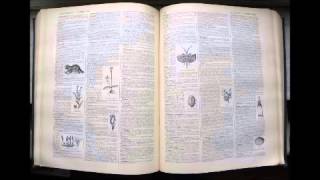 Anémophilie  Dictionnaire français audio [upl. by Irahs631]