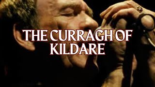 The Curragh Of Kildare │ Finbar Furey and Eddie Furey [upl. by Eisor189]