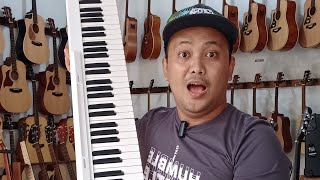 Review lengkap piano philter original 88 keys piano pianotutorial pianotok pianomusic [upl. by Ained833]