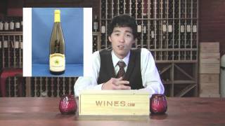 Liebfraumilch  with Scott Ota for Winescom TV [upl. by Ettelrac]