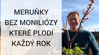 🚫 Přestaňte UBLIŽOVAT svým meruňkám 🚫 7 chyb v řezu stříhání a péči kterými ničíte své meruňky 🌳 [upl. by Levinson]