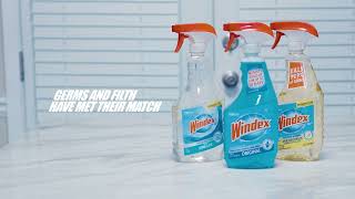 Windex Commercial 2024 [upl. by Toscano]