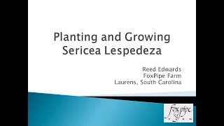 Planting and Growing Sericea Lespedeza [upl. by Lottie447]