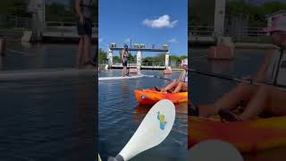 Manatee Tours Miami by the dam [upl. by Ky]