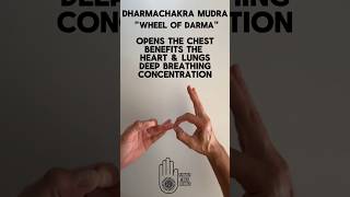 Dharmachakra Yoga Mudra  Benefits  quotWheel of Darmaquot  Hand Gesture [upl. by January289]