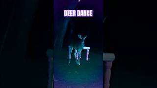 DEER DANCE System of a Down youtubeshorts shorts short rockmusic shortsvideo shortsfeed deer [upl. by Galateah]