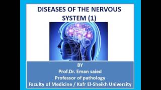 CNS Pathology lecture 1 [upl. by Ymeon]