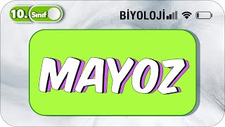 10 Sınıf Biyoloji Mayoz Basit Konu Anlatım 2023 [upl. by Spence]