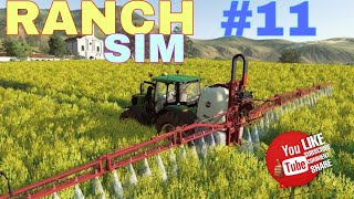 45  SELLING ALL MY FRUITS VEGETABLES amp WHEAT IN RANCH SIMULATOR  11 [upl. by Ivad732]