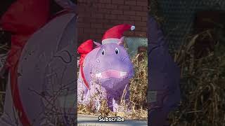 Hippopotamus Christmas Inflatable christmasinflatables hippo hippopotamus christmas inflatable [upl. by Oemac933]