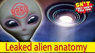 A mysterious reddit post about alien anatomy has blown the internets mind [upl. by Deibel]