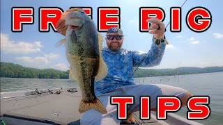 Best Baits To quotFree Rigquot For Spring Bass [upl. by Jamey940]