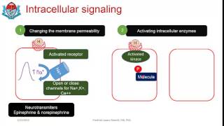 Fundamental concepts in endocrine physiology 9 [upl. by Pufahl]