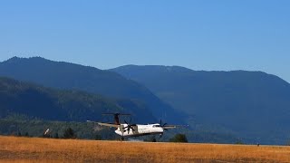 Air Canada Q400 Mountainous Approach amp Landing in Castlegar BC [upl. by Pearle]