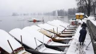 Live Snowfall in Srinagar Srinagar Snowfall Update 2024  Live Snowfall in Srinagar Today  Kashmir [upl. by Airdua]