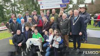 2023 was a year to remember for Liam Dowling at Clonmel coursing [upl. by Zadack161]