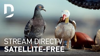 DIRECTV  For The Birds  Girlfriend 30 [upl. by Hance]