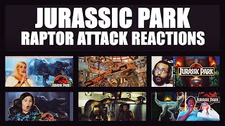 JURASSIC PARK  Raptor Attack Reactions [upl. by Aerdnahc]