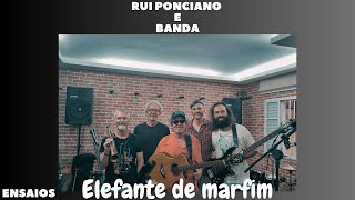 ELEFANTE DE MARFIM RUI PONCIANO  ENSAIO RUI PONCIANO E BANDA [upl. by Aihsek]