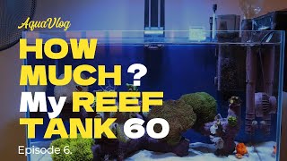 60L reef tank How much Episode 6 [upl. by Amat]