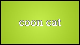 Coon cat Meaning [upl. by Friedrick973]