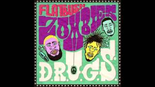 Flatbush Zombies  SCOSA Prod By Erick Arc Elliott [upl. by Llehsim]