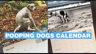 Pooping Dogs Calendar [upl. by Nerland795]