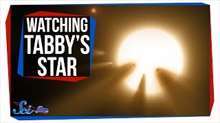 Why Everyone Was Watching Tabbys Star Last Weekend [upl. by Eilrac529]