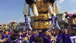 土居太鼓祭り2018 河川敷かきくらべ出発前 気合い入れの差し上げ 八日市津根太鼓台 JAうま土居中央支店 1014 [upl. by Ilyk]